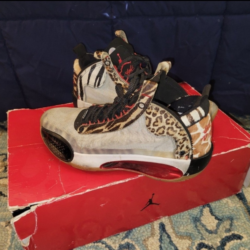 Nike Air Jordan 34 PE JT ‘Welcome To The Zoo’ (DA1899-900) Men Size 10
